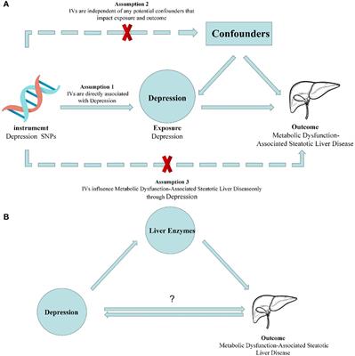 Causal relationship between depression and metabolic dysfunction-associated steatotic liver disease: a bidirectional Mendelian randomized study